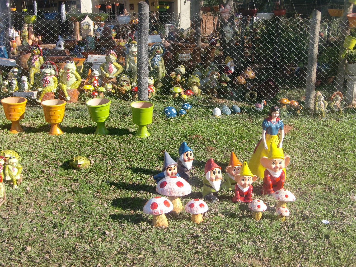 Garden gnomes in Paraguay